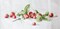 Luca-S; Etude with Strawberries Counted Cross-Stitch Kit by Luca-S B2254L; Category:Cross Stitch; Image:2